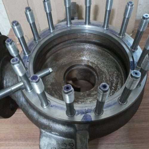 Voluta em Inox